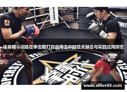 体育格斗训练在拳击散打自由搏击中的技术融合与实践应用探索