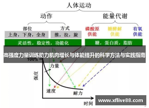 高强度力量训练助力肌肉增长与体能提升的科学方法与实践指南
